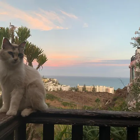 Apartman Jardin Vista Mar *